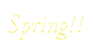 Spring !!
